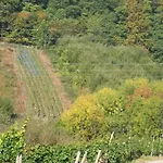 Moselsteig Kesten