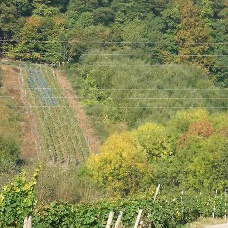 Moselsteig Kesten