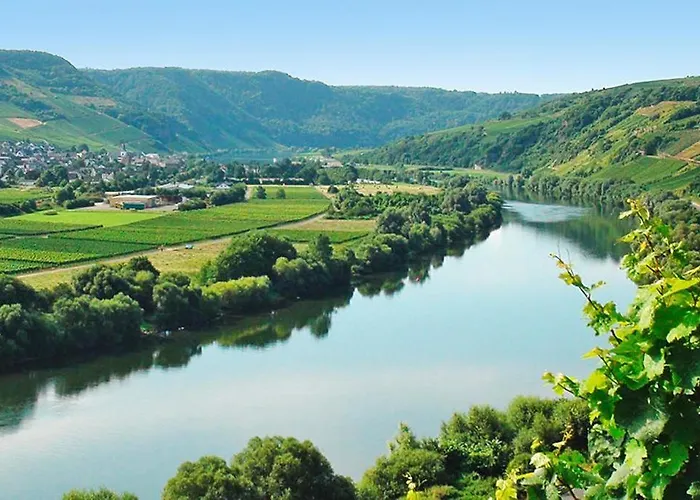 Moselsteig Appartement Kesten